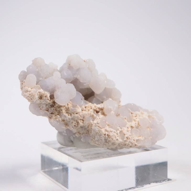 ����ɥͥ����� ���졼�ץ�������