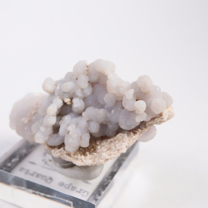 ����ɥͥ����� ���졼�ץ�������