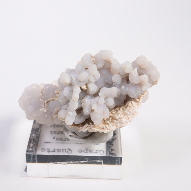 ����ɥͥ����� ���졼�ץ�������