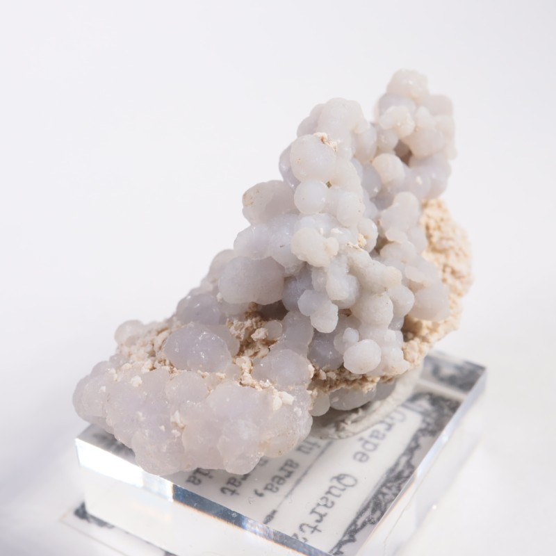 ����ɥͥ����� ���졼�ץ�������