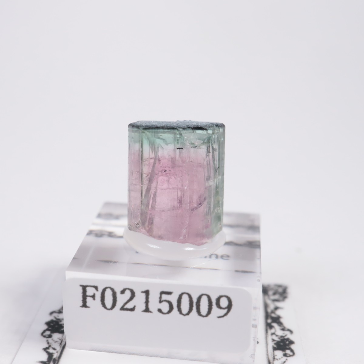 �֥饸�뻺 �ȥ�ޥ��