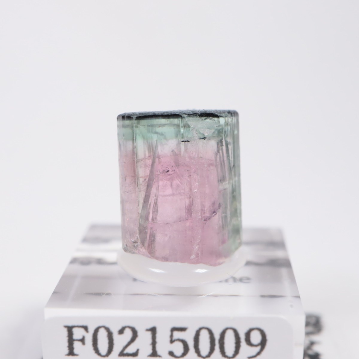 �֥饸�뻺 �ȥ�ޥ��