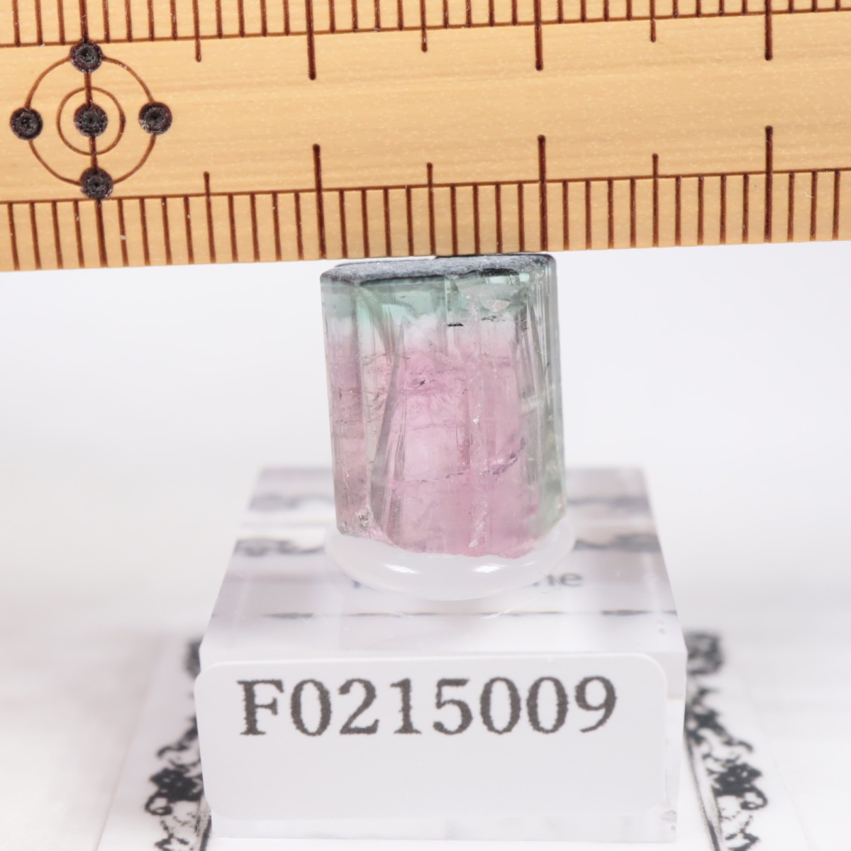 �֥饸�뻺 �ȥ�ޥ��