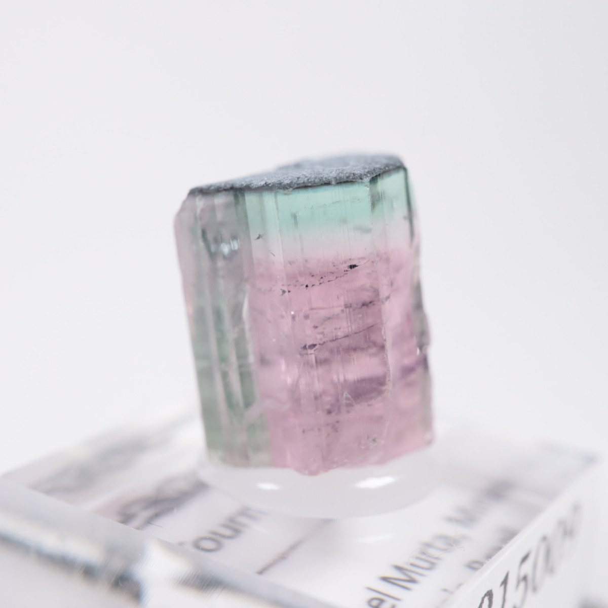 �֥饸�뻺 �ȥ�ޥ��