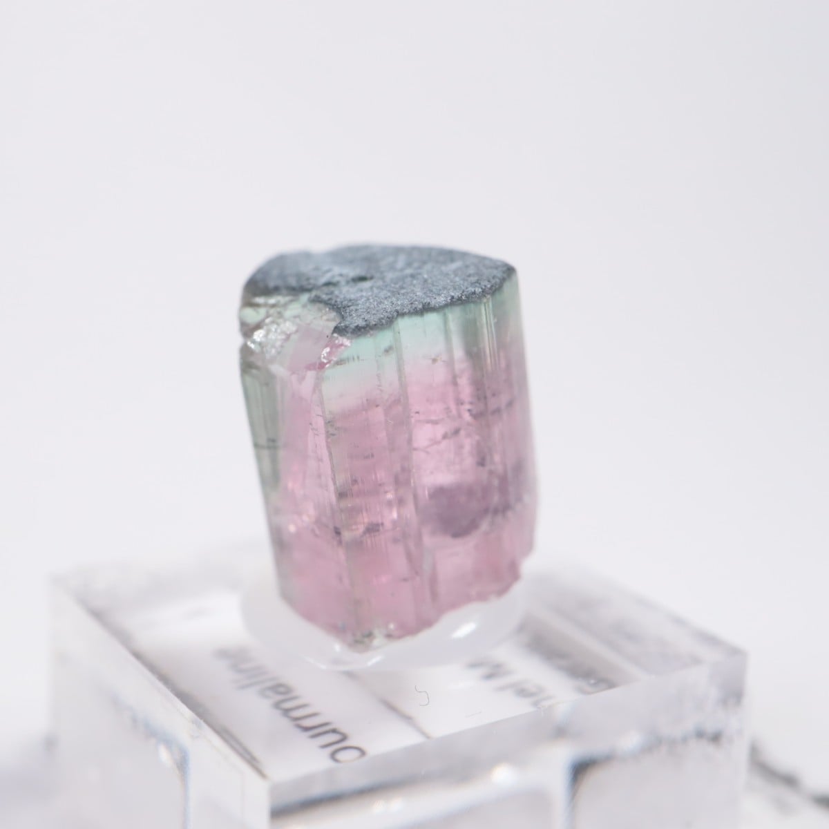 �֥饸�뻺 �ȥ�ޥ��