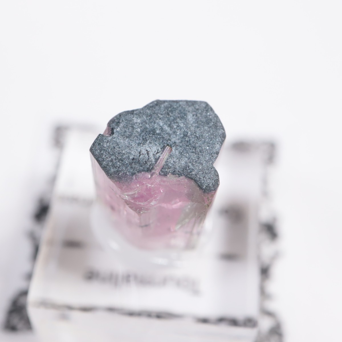 �֥饸�뻺 �ȥ�ޥ��