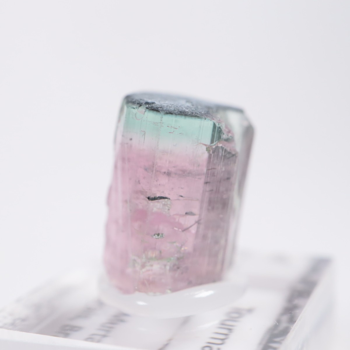 �֥饸�뻺 �ȥ�ޥ��