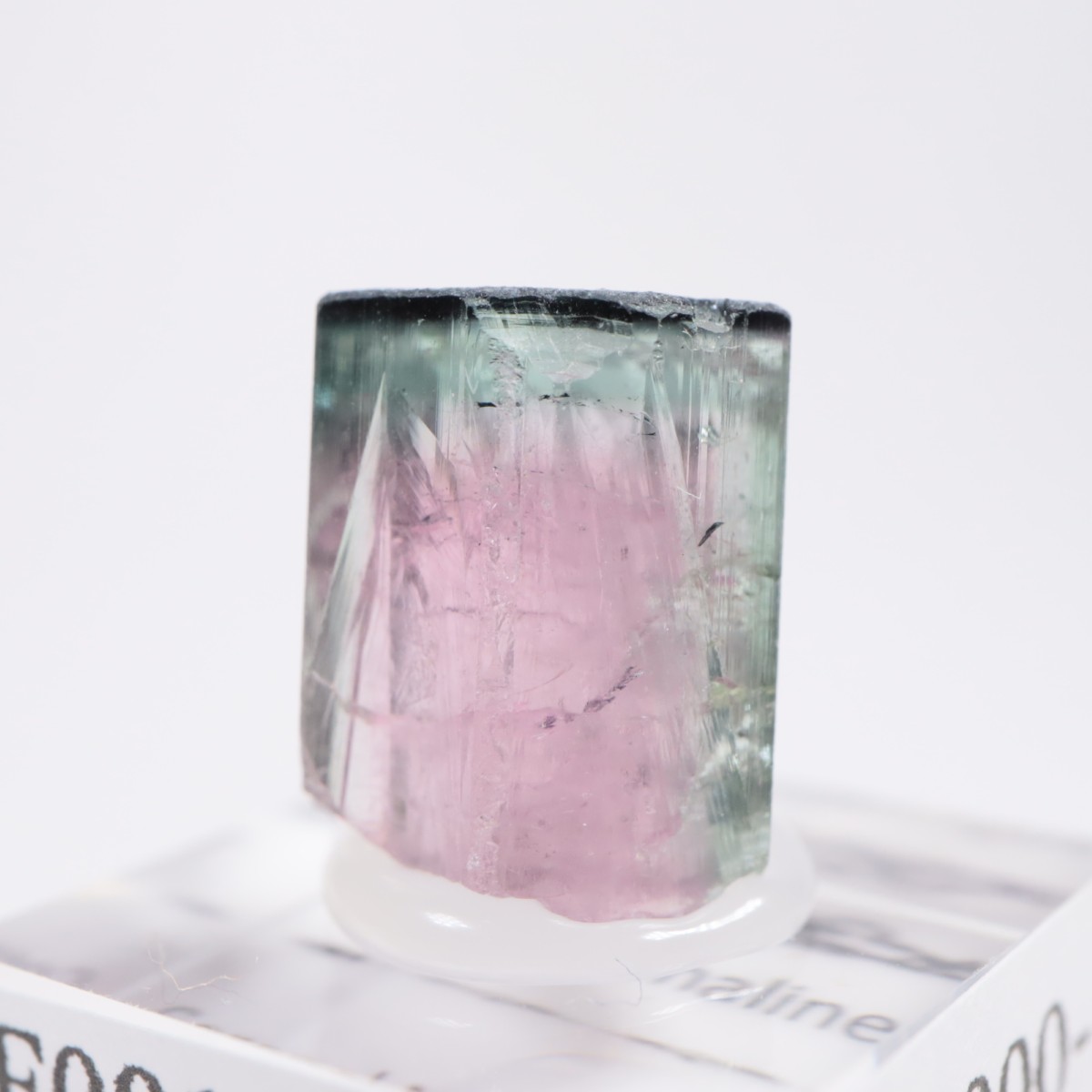 �֥饸�뻺 �ȥ�ޥ��