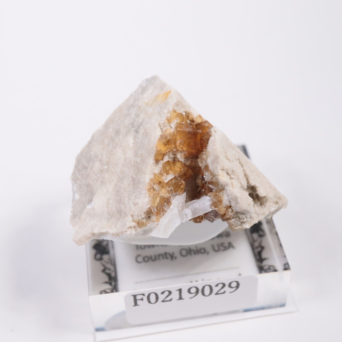 ���ϥ������� �ե����饤��