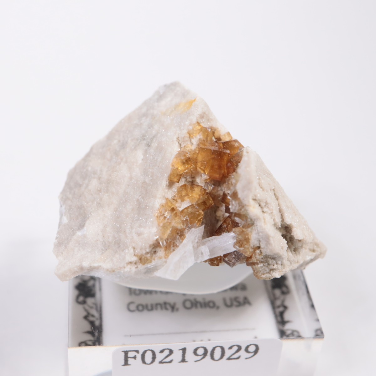 ���ϥ������� �ե����饤��