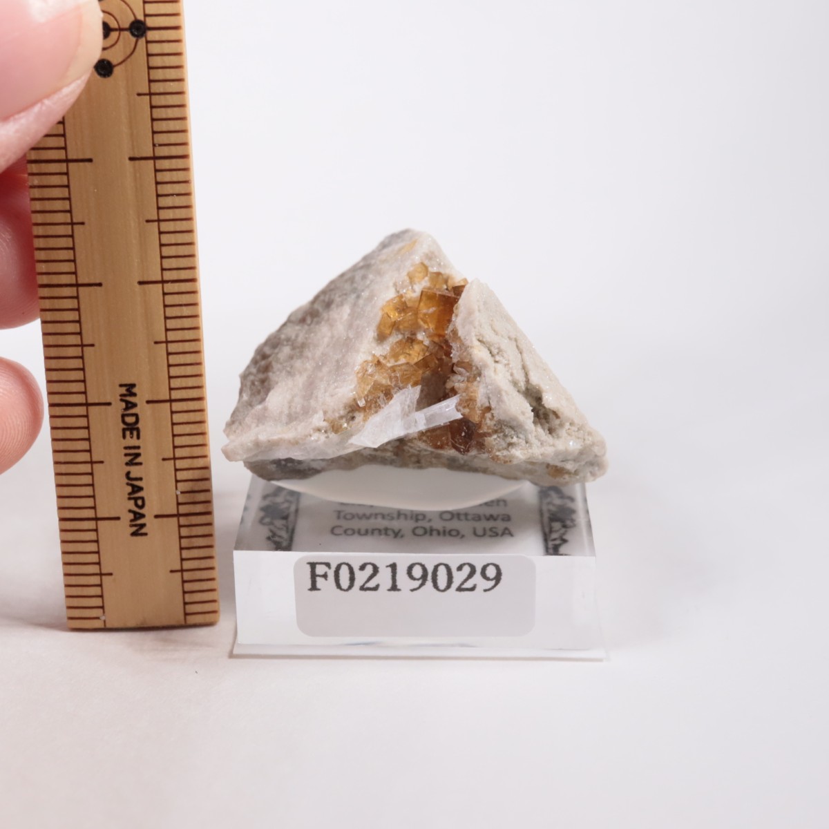 ���ϥ������� �ե����饤��