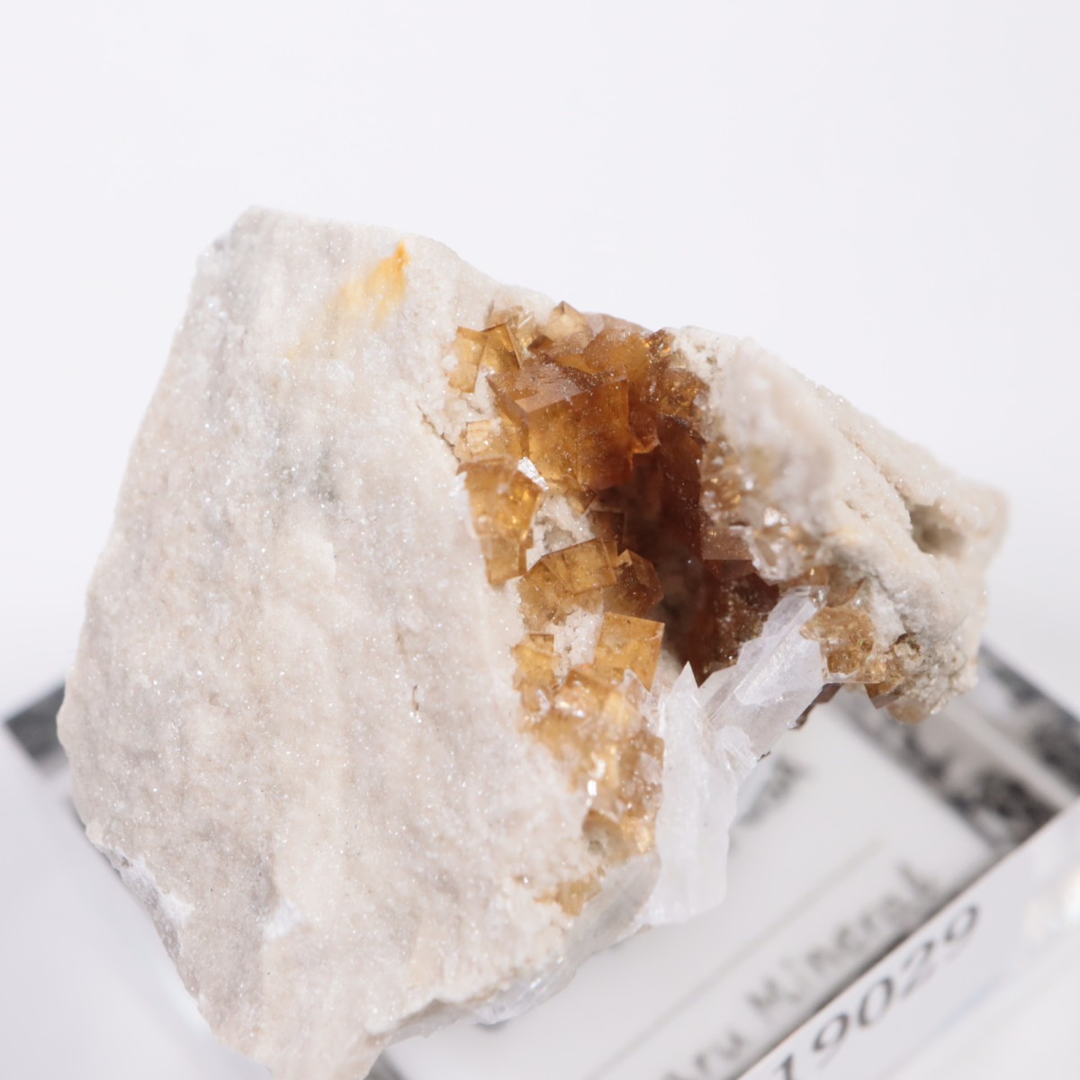 ���ϥ������� �ե����饤��