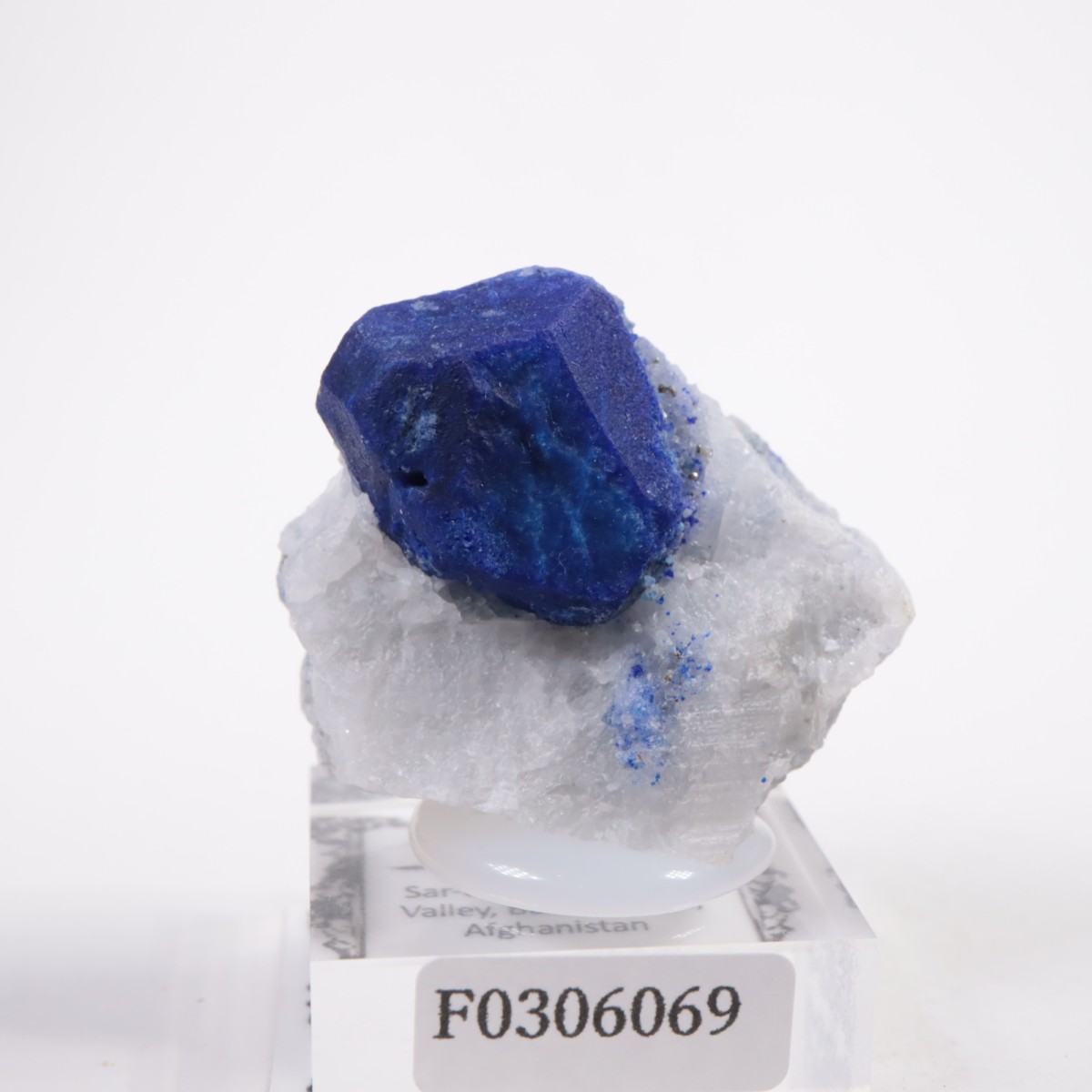 ���ե��˥����� �饺�饤��