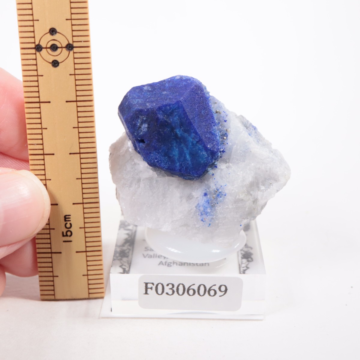 ���ե��˥����� �饺�饤��