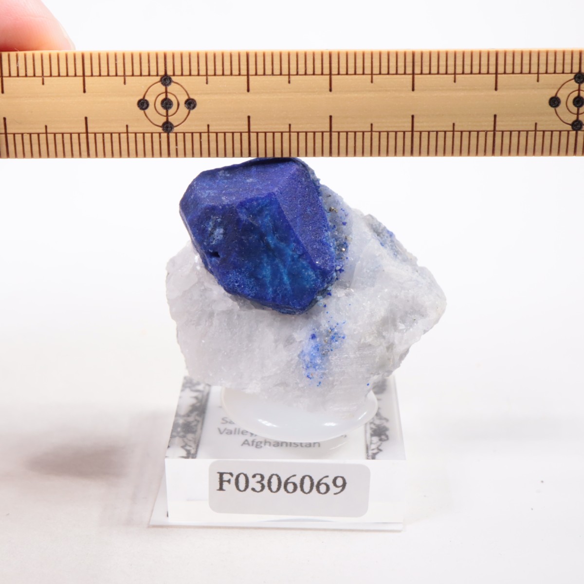 ���ե��˥����� �饺�饤��