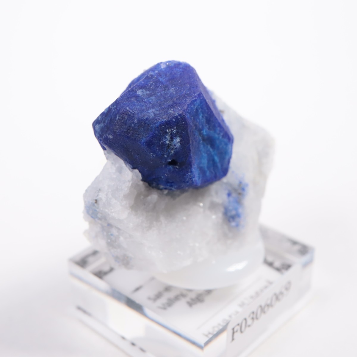 ���ե��˥����� �饺�饤��