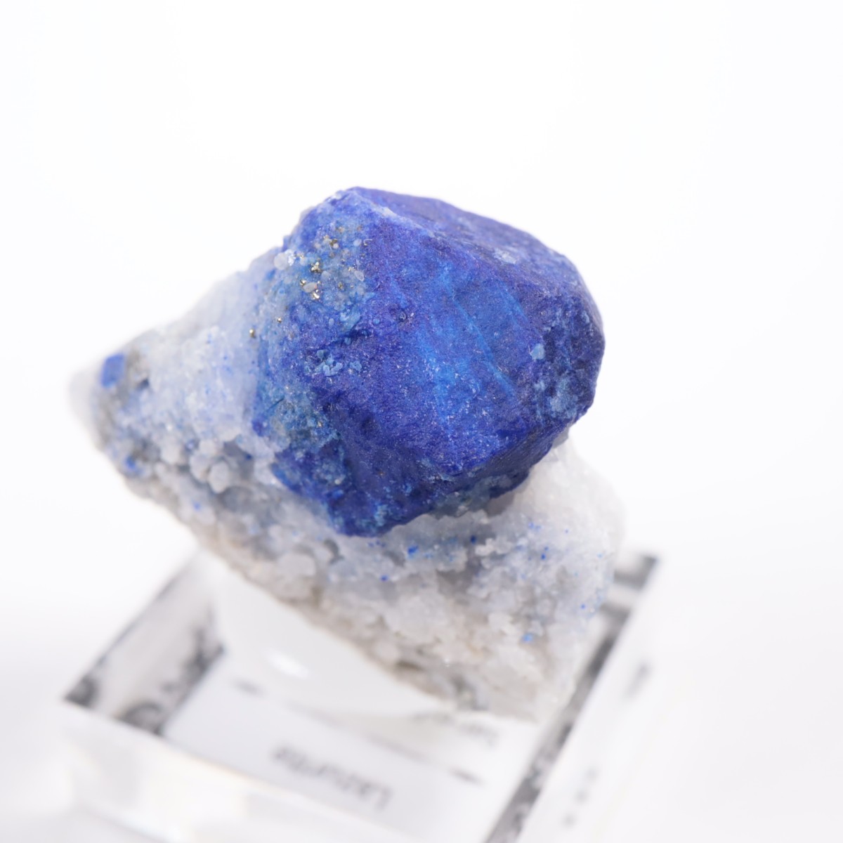 ���ե��˥����� �饺�饤��