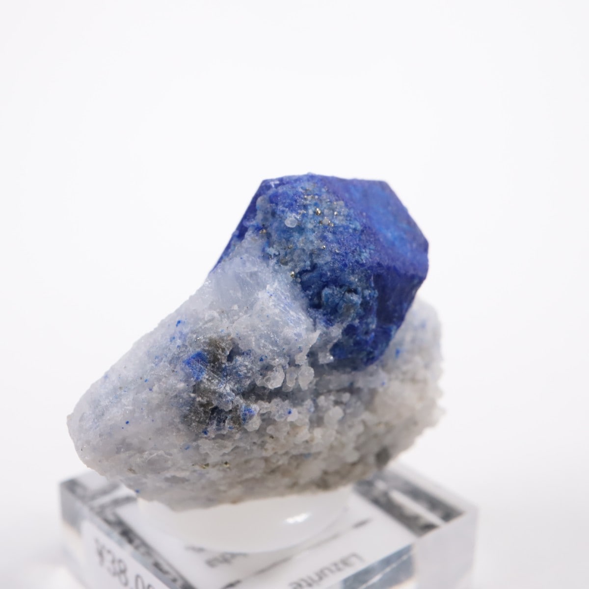 ���ե��˥����� �饺�饤��