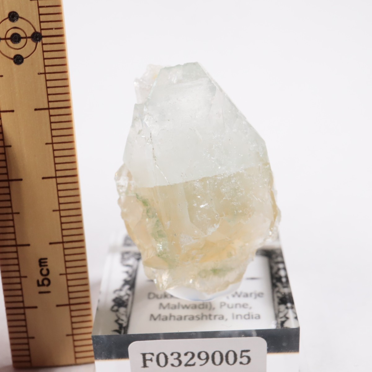 ����ɻ� ���ݥե��饤��