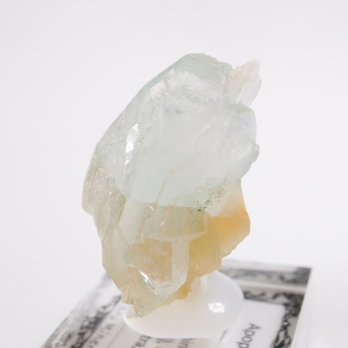 ����ɻ� ���ݥե��饤��