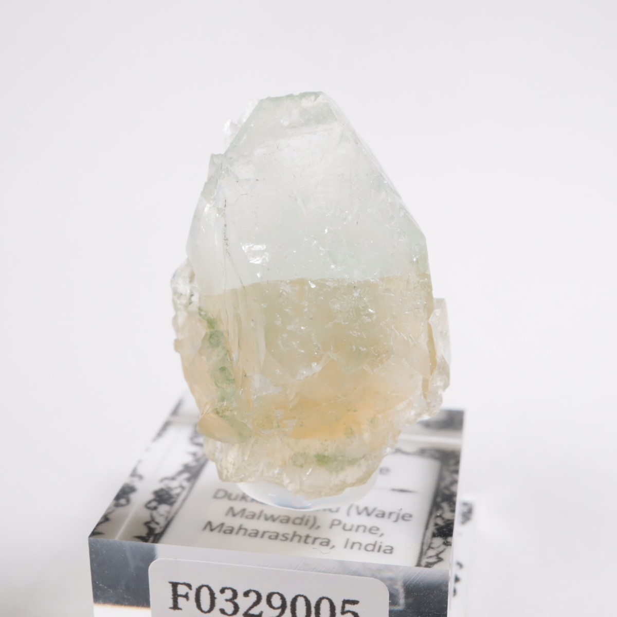 ����ɻ� ���ݥե��饤��