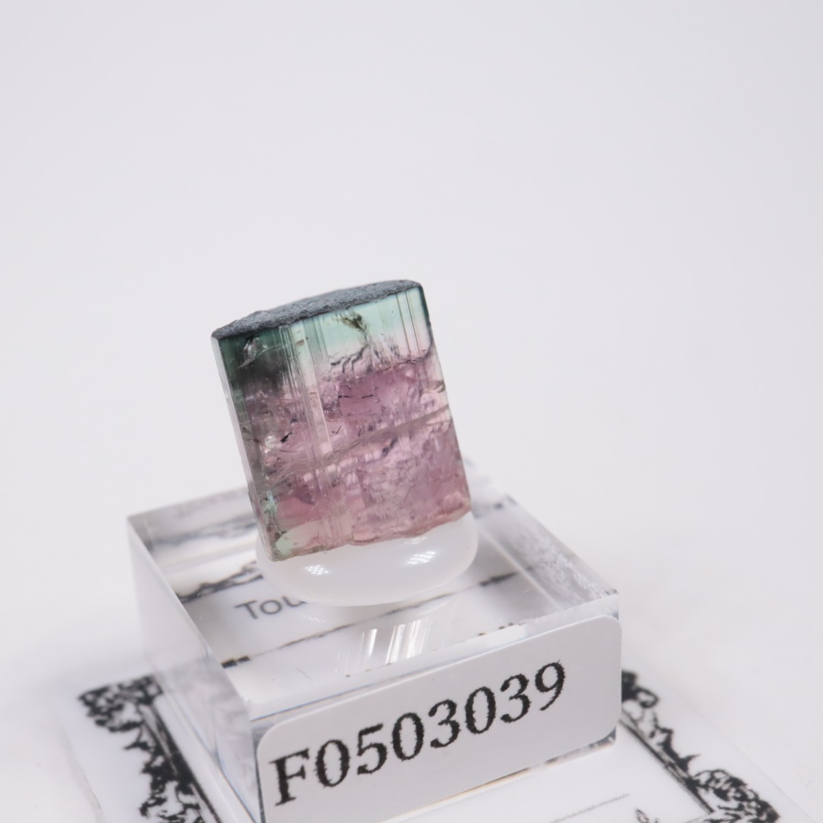 Coronel Murta�� �ȥ�ޥ��