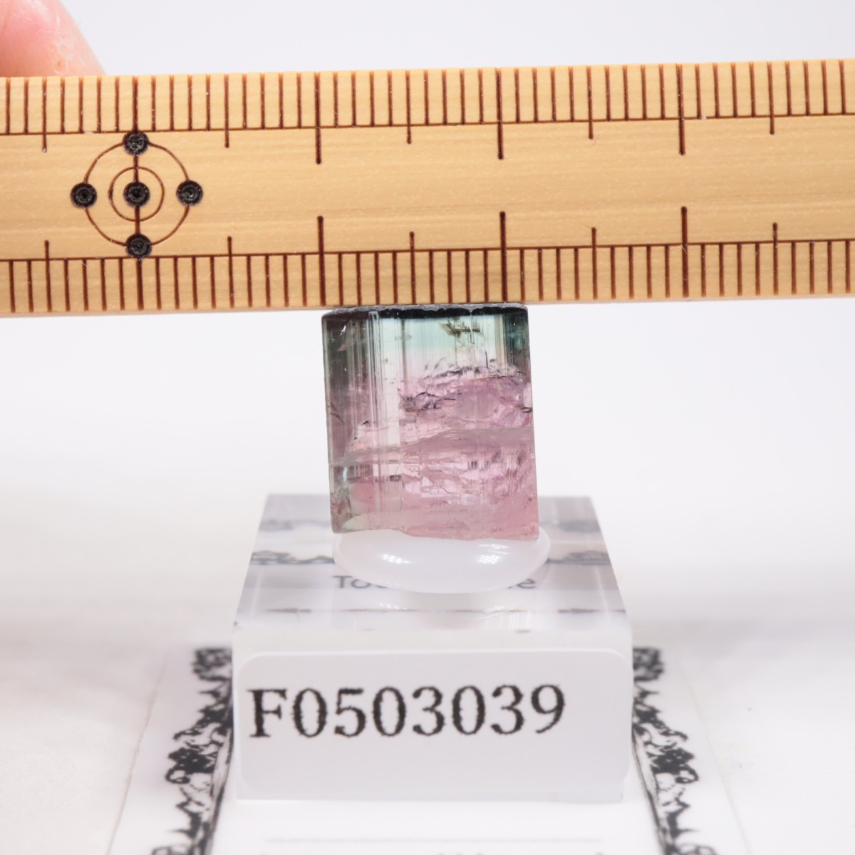 Coronel Murta�� �ȥ�ޥ��