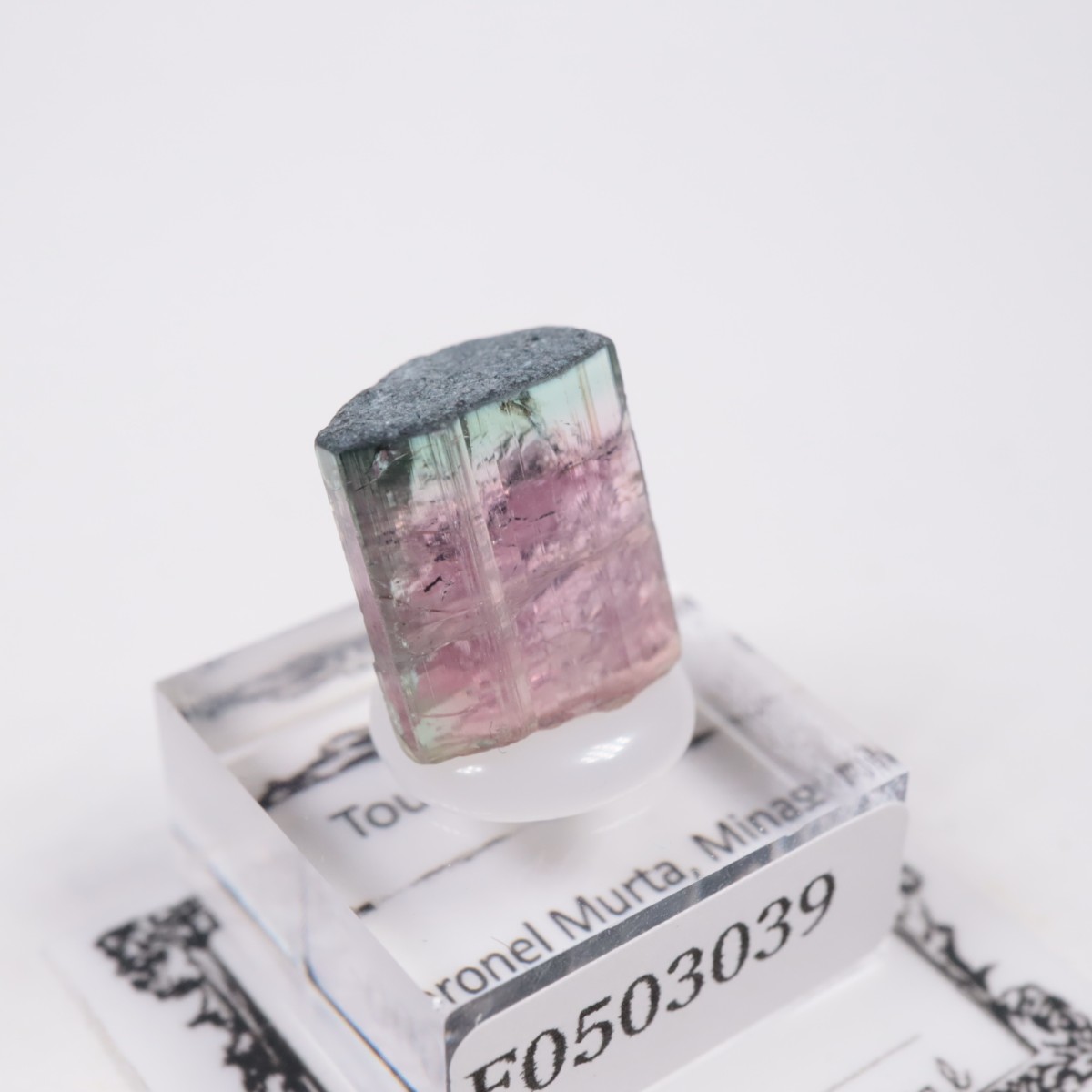 Coronel Murta�� �ȥ�ޥ��