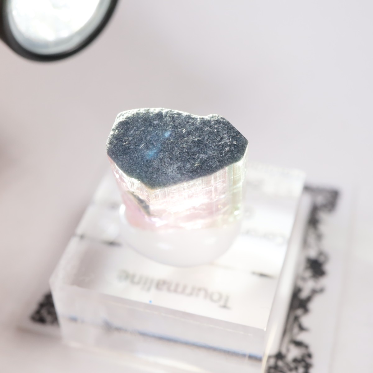 Coronel Murta�� �ȥ�ޥ��