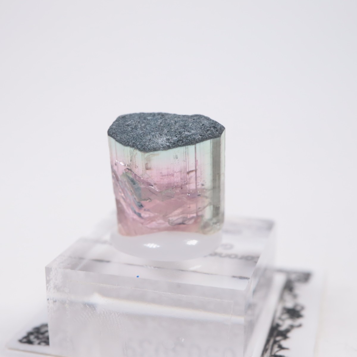 Coronel Murta�� �ȥ�ޥ��