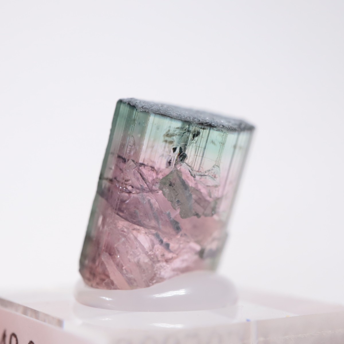 Coronel Murta�� �ȥ�ޥ��