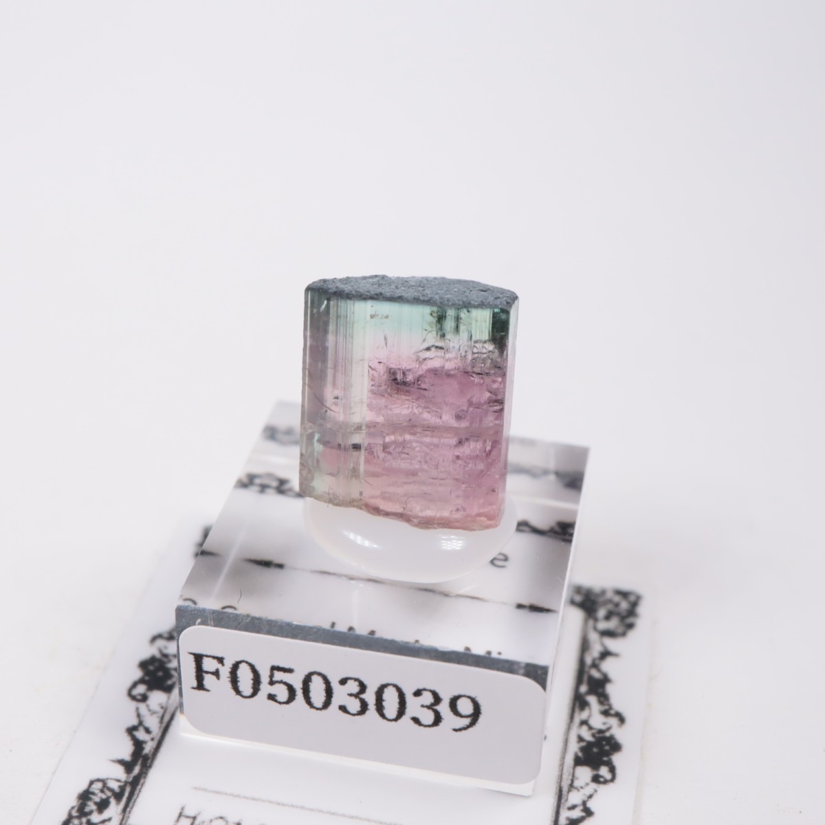 Coronel Murta�� �ȥ�ޥ��