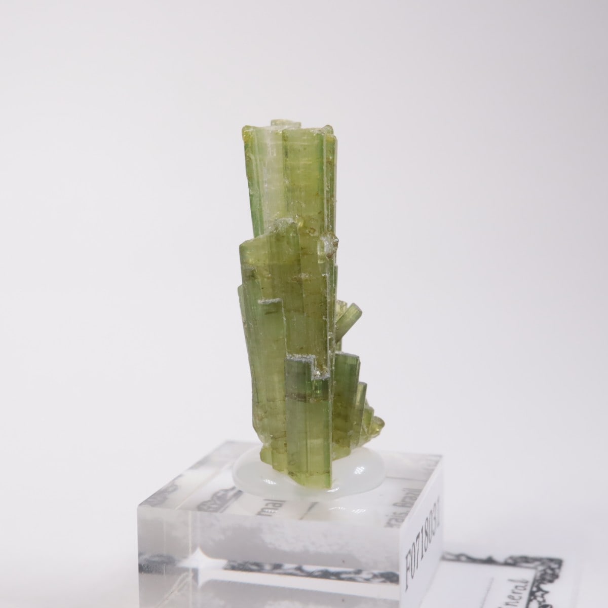 �֥饸�뻺���ȥ�ޥ��