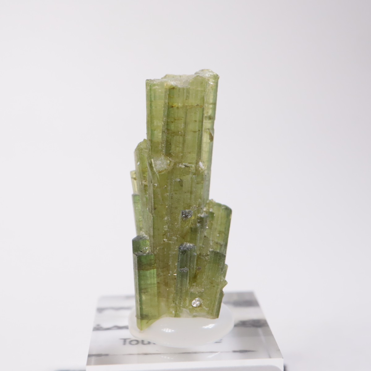 �֥饸�뻺���ȥ�ޥ��