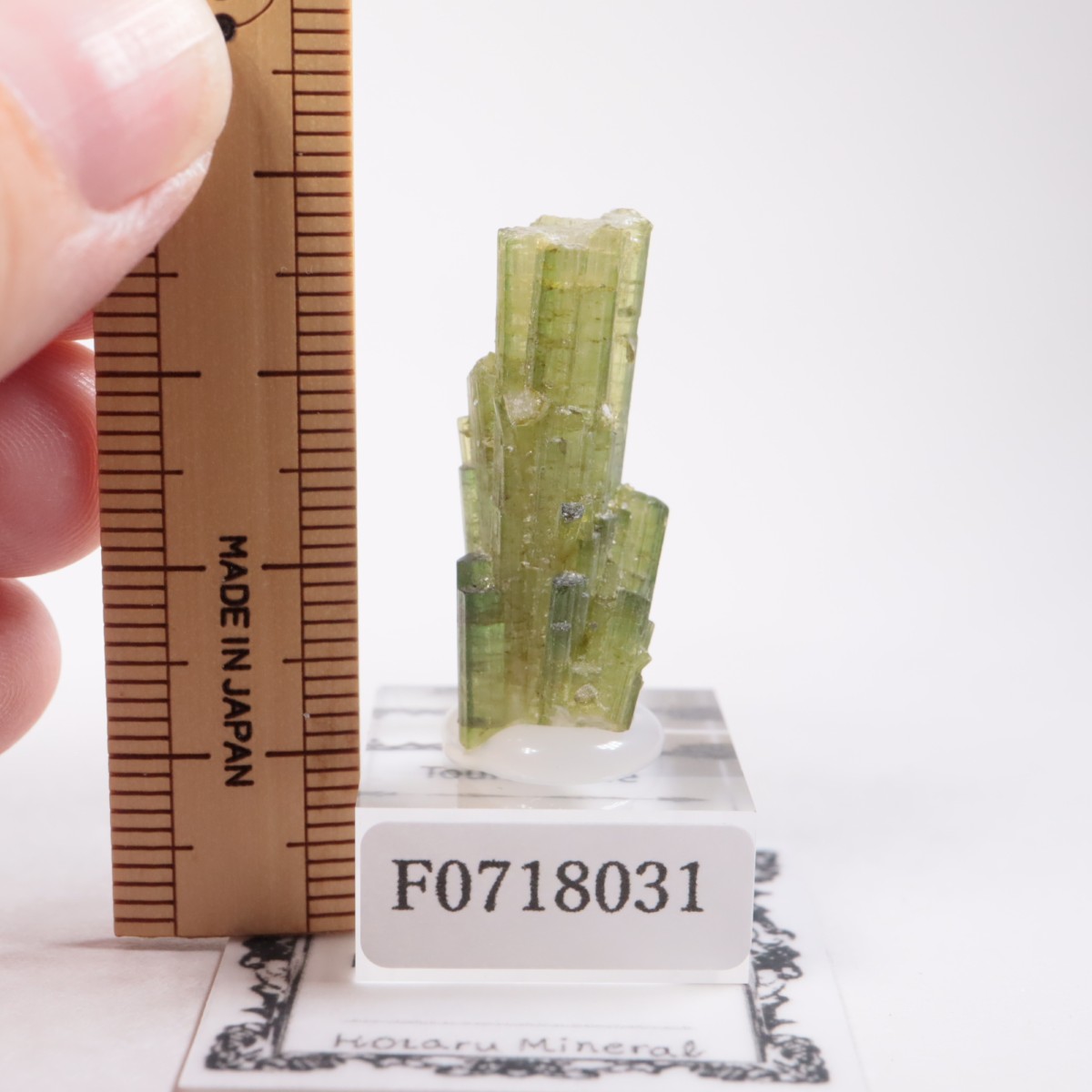 �֥饸�뻺���ȥ�ޥ��