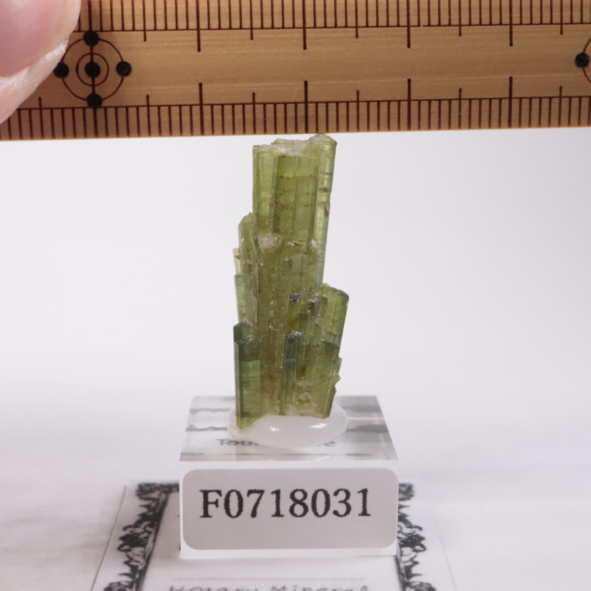 �֥饸�뻺���ȥ�ޥ��