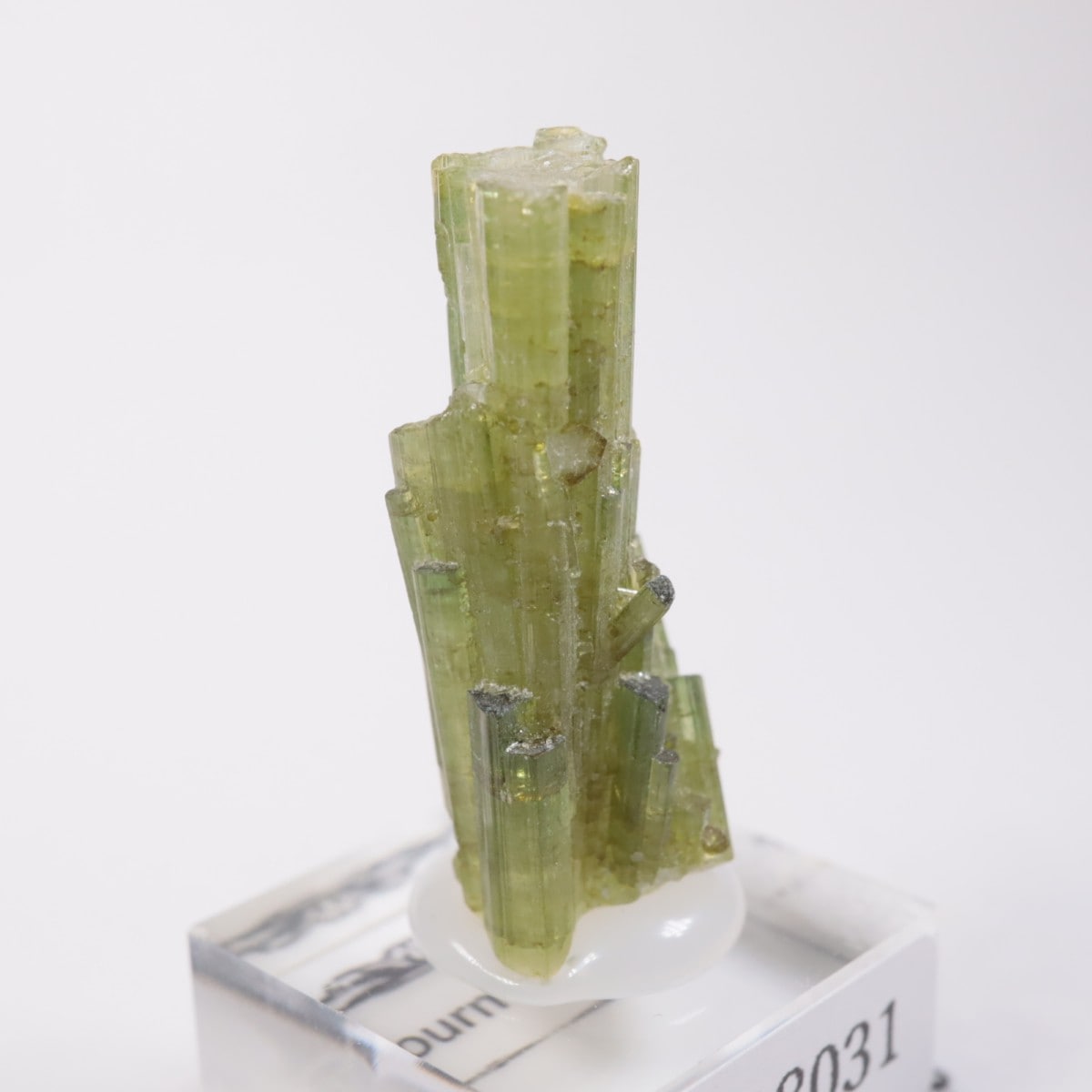 �֥饸�뻺���ȥ�ޥ��