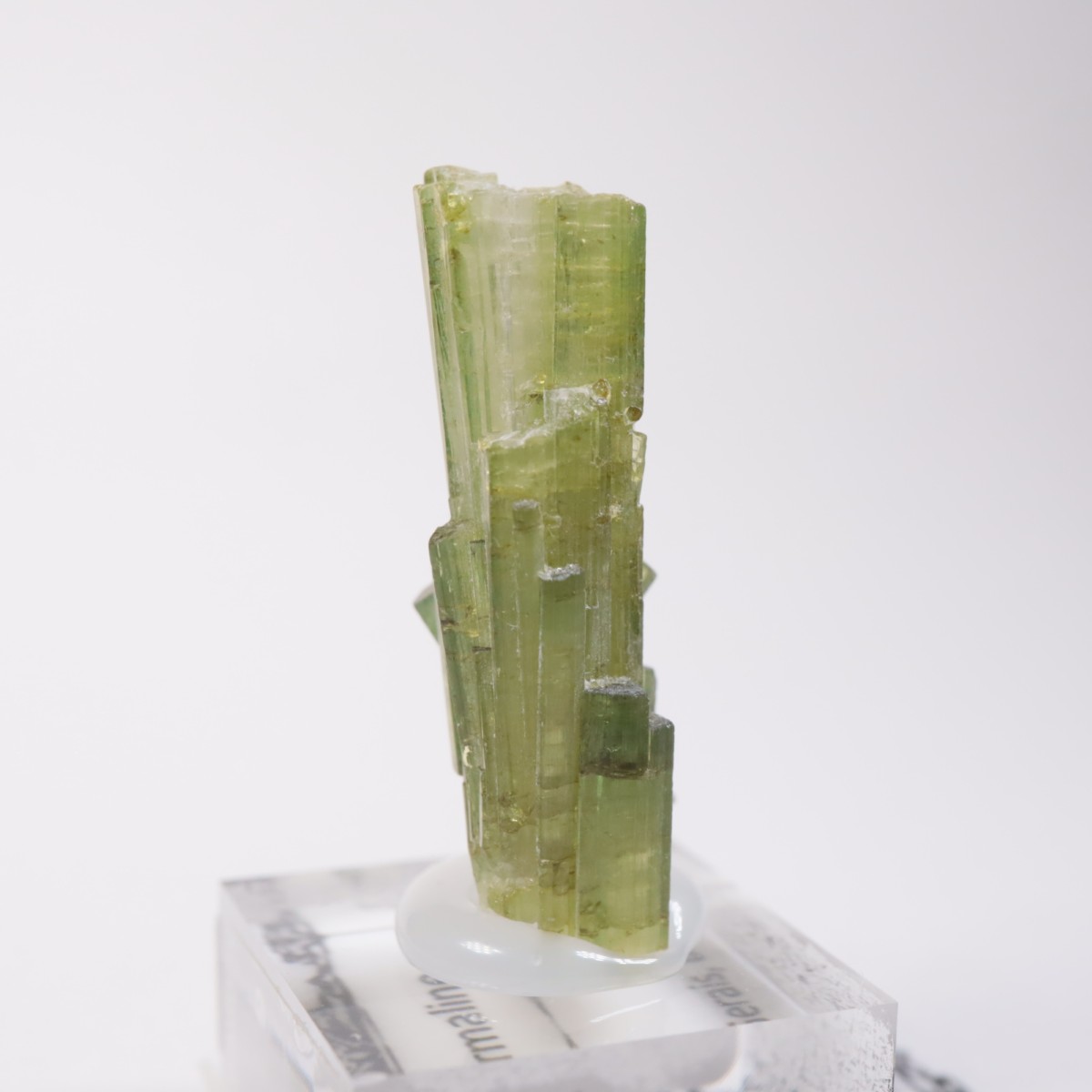 �֥饸�뻺���ȥ�ޥ��