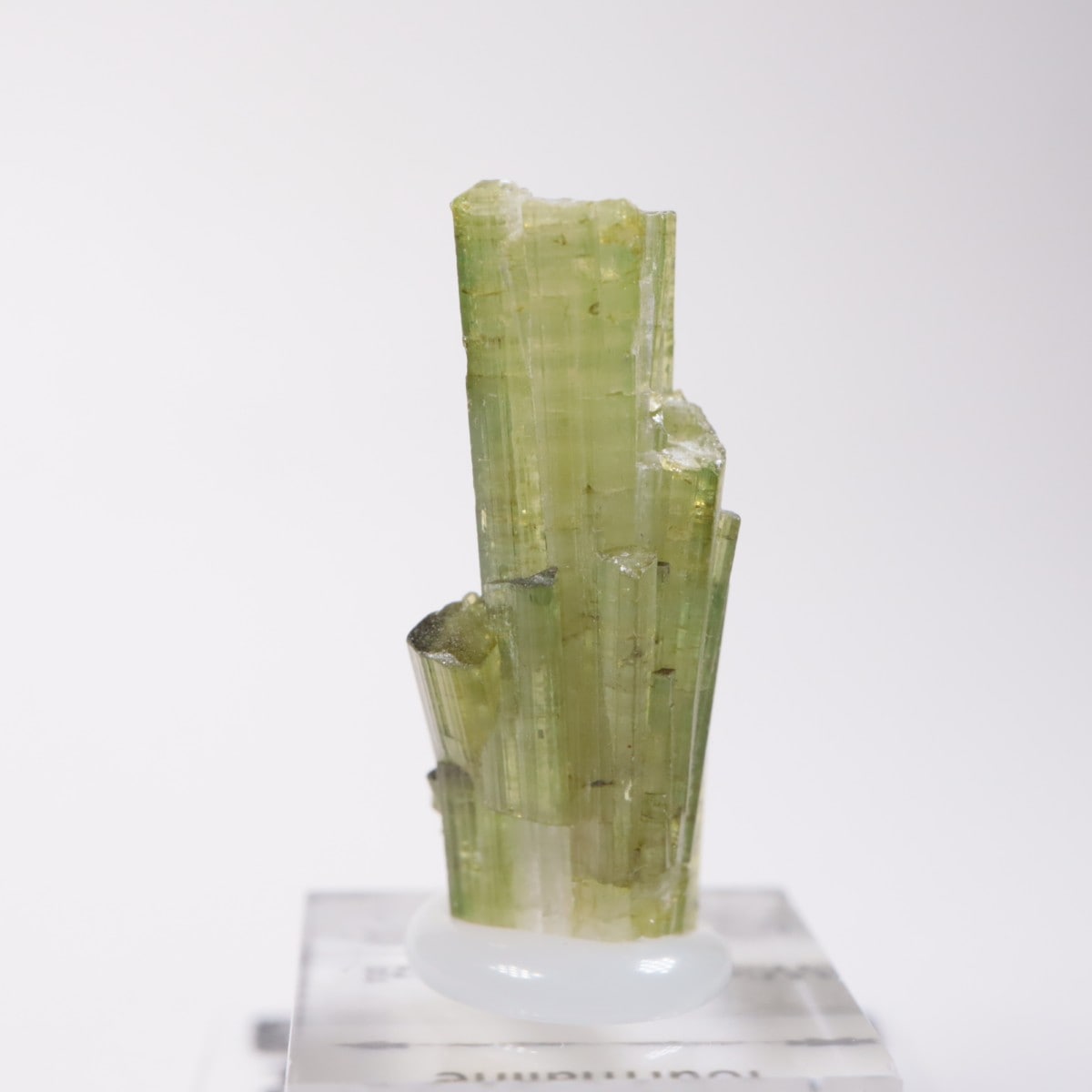 �֥饸�뻺���ȥ�ޥ��