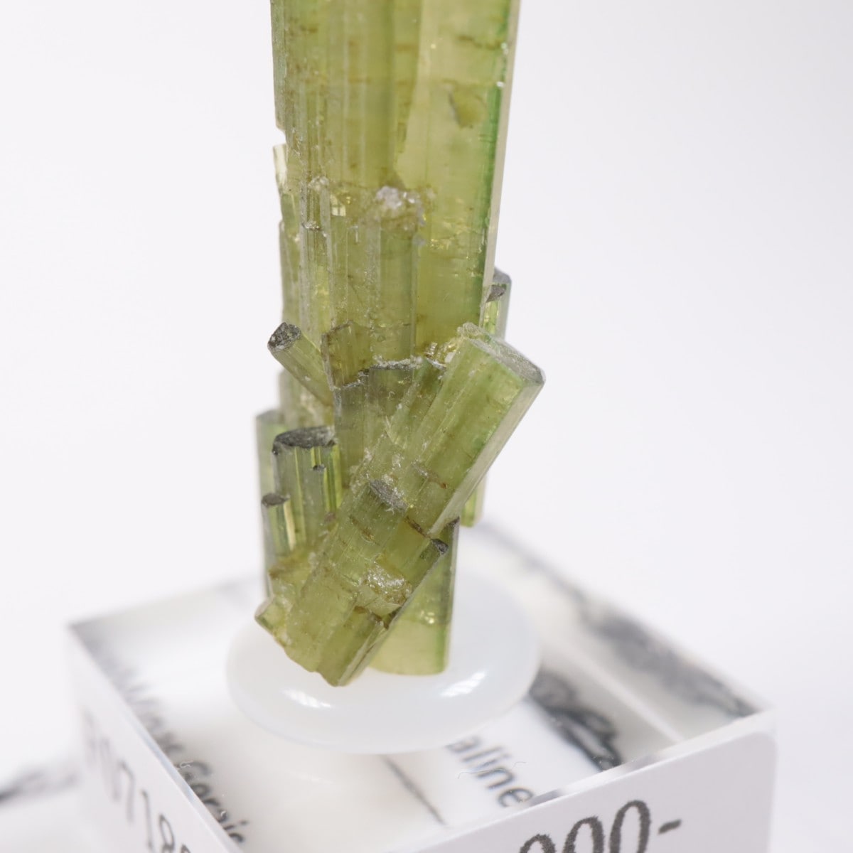 �֥饸�뻺���ȥ�ޥ��