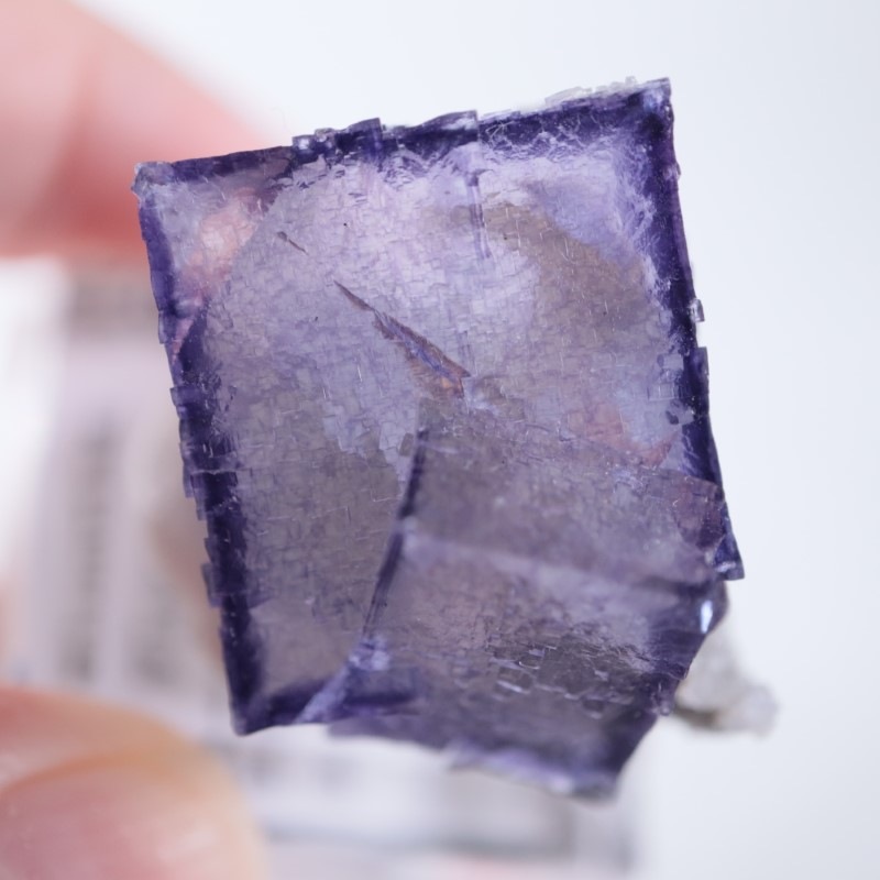 エルムウッド鉱山 フローライト | 鉱物標本,ハ行,フローライト/蛍石