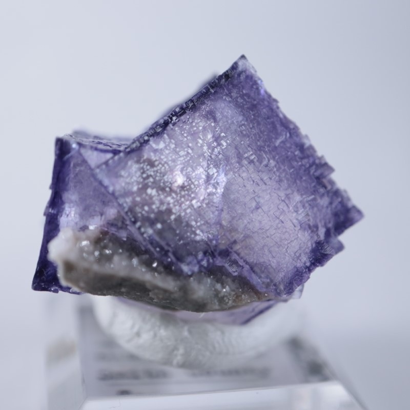 エルムウッド鉱山 フローライト | 鉱物標本,ハ行,フローライト/蛍石