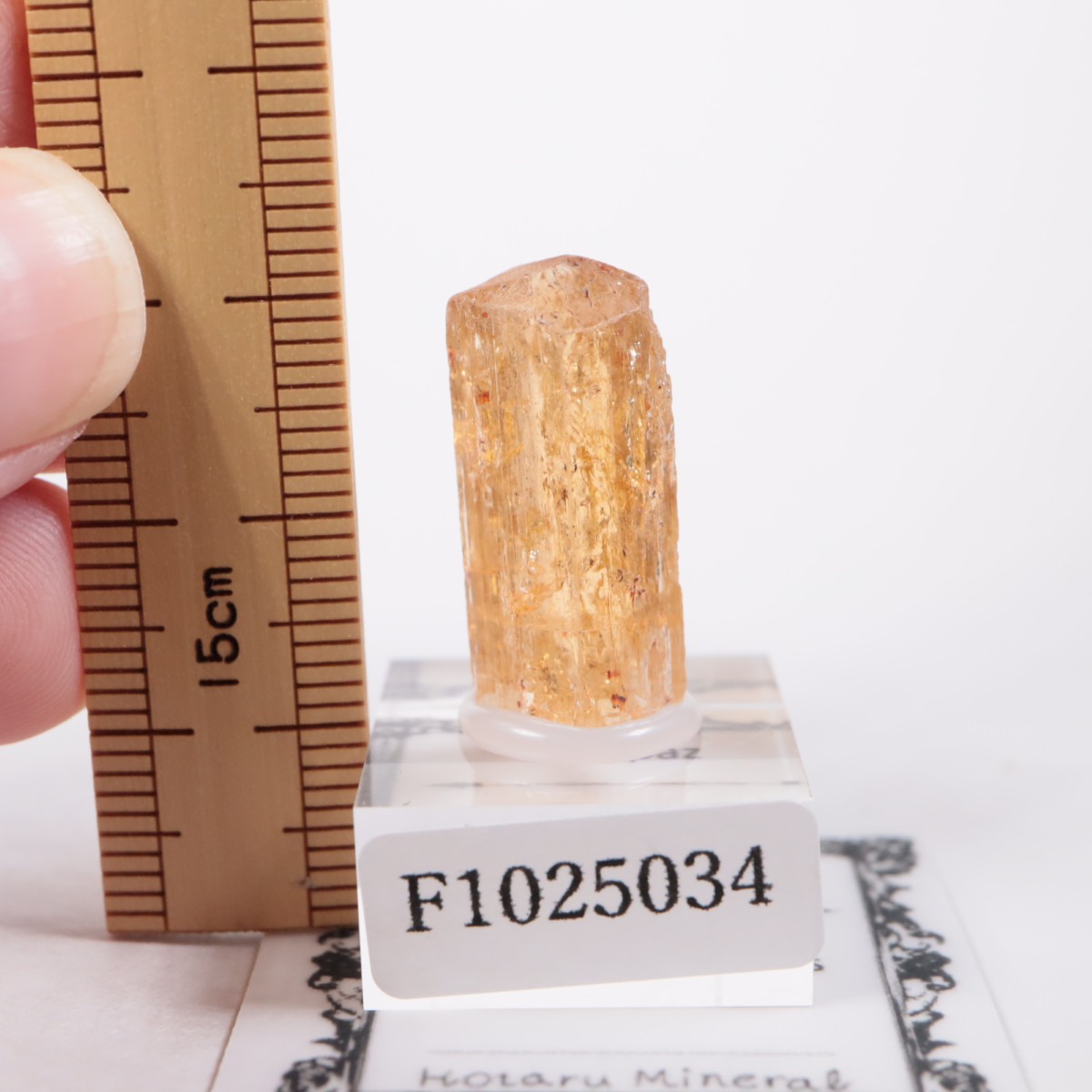 Ouro Preto�� �ȥѡ���