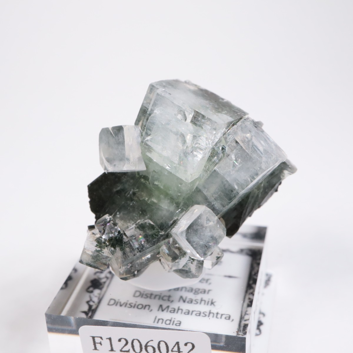 ����ɻ� ���ݥե��饤��