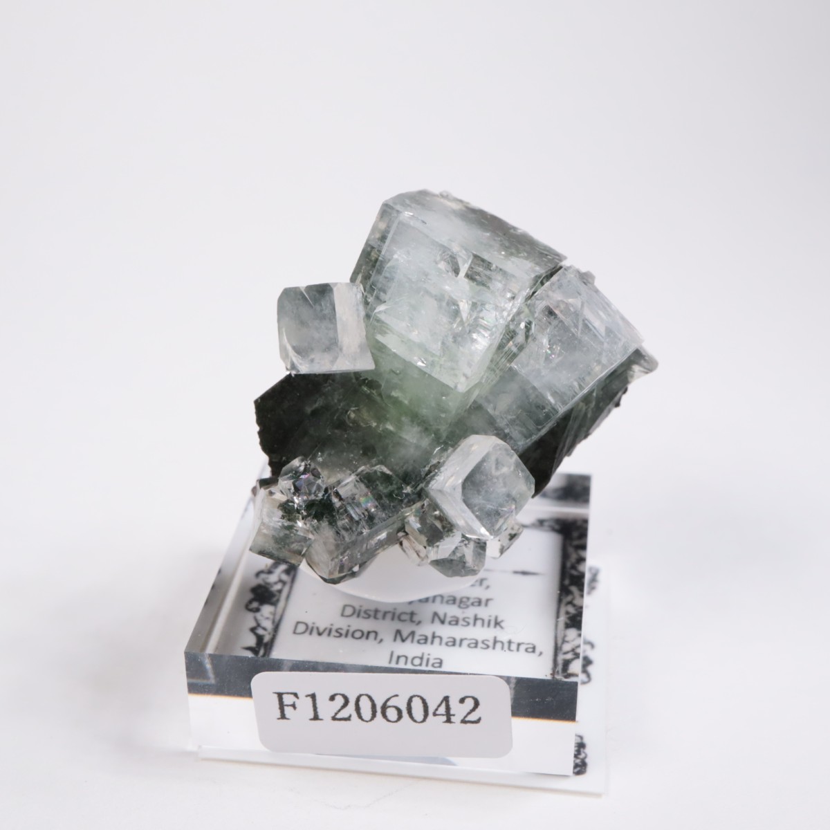 ����ɻ� ���ݥե��饤��