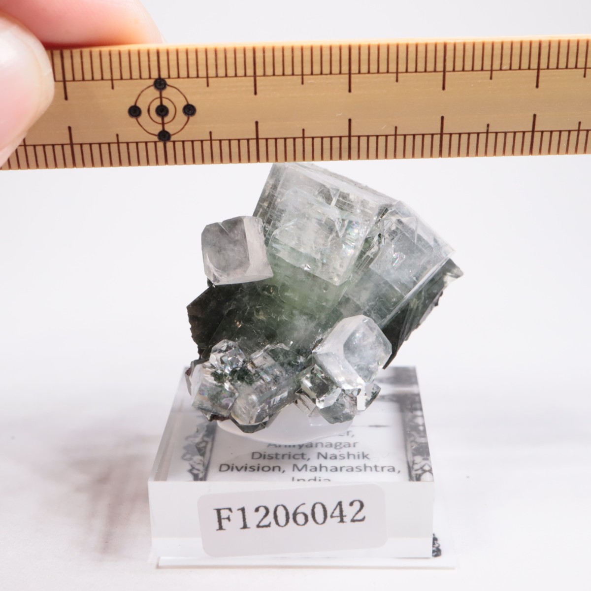 ����ɻ� ���ݥե��饤��