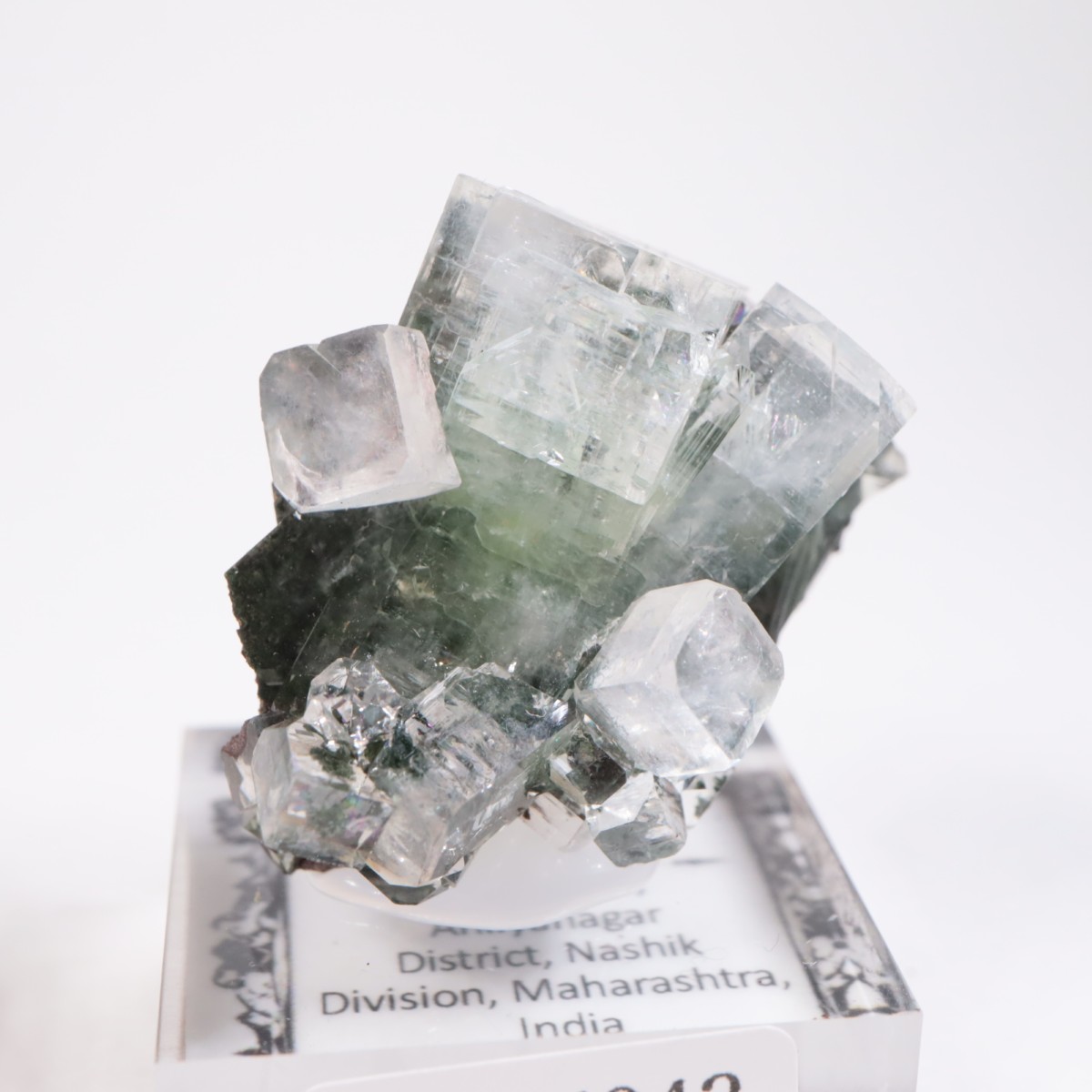 ����ɻ� ���ݥե��饤��