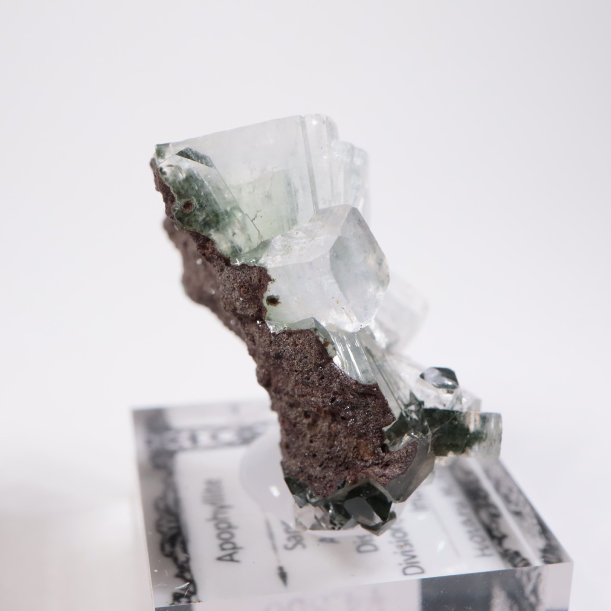 ����ɻ� ���ݥե��饤��