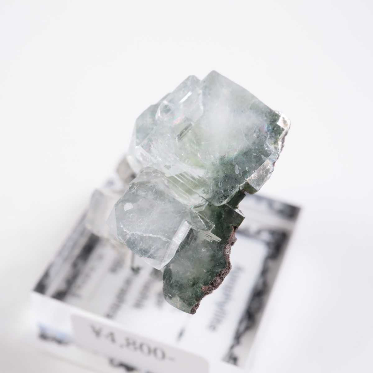 ����ɻ� ���ݥե��饤��