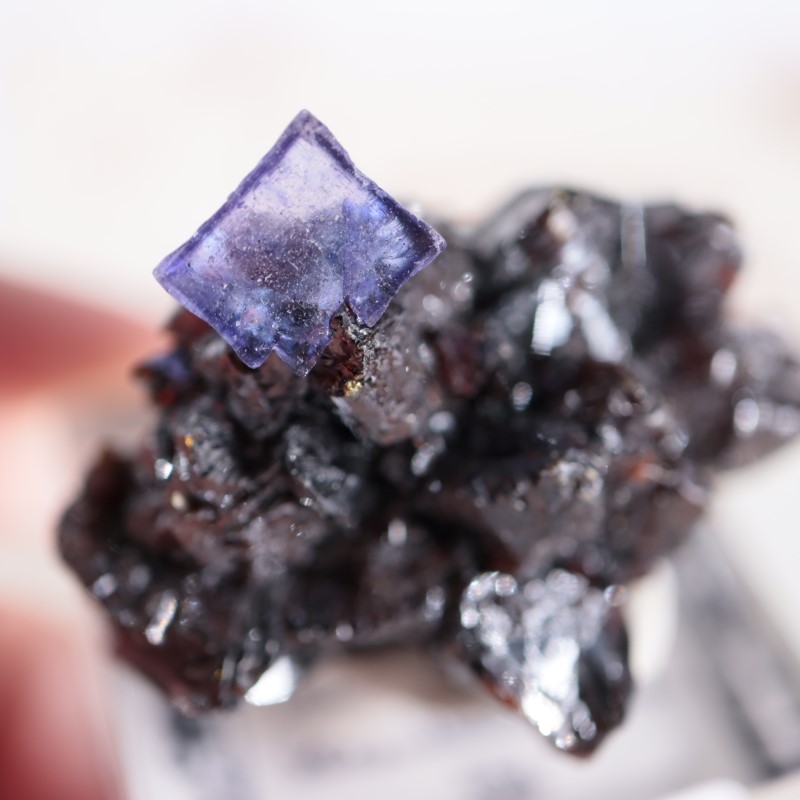 エルムウッド鉱山 フローライト | 鉱物標本,ハ行,フローライト/蛍石